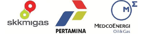 JOB-PERTAMINA-MEDCO E&P TOMORI