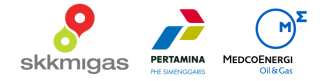 JOB Pertamina-Medco E&P