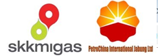 PetroChina International Jabung LTD